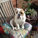 cooperschronicles avatar