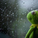 copertinacolorata avatar