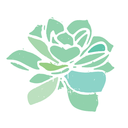 coping-skill-toolkit avatar