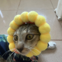 coping-up-to-the-world avatar