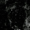 copingundertheradar avatar