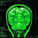 copious-zygomaticus avatar