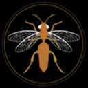 copper-wasp avatar