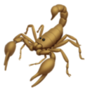 copperscorpion avatar