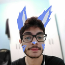 coracao-vulpino avatar