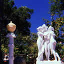 coralasinthereef avatar