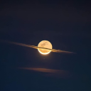 coralcoralcora avatar