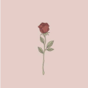 coralflowerdonut avatar