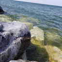 coralkisses92 avatar