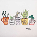 corallinne-rue avatar