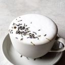 coralwonderlandriptide avatar