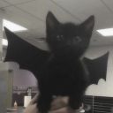 cordlessmurder avatar