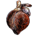 coreingrapho-blog avatar