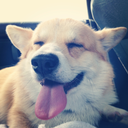 corgi-in-paris-blog avatar