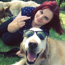 corgi-princess avatar