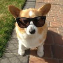 corgisagainsthumanity avatar