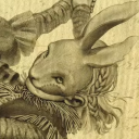 corneredleveret avatar