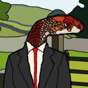 cornsnakemusic avatar