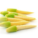 cornteen avatar