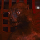 cornucopialuvr avatar