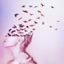 corrosionz-blog-blog avatar