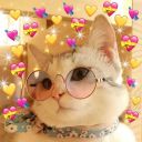 corrupt-hound avatar