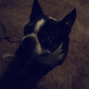 corrupted-change avatar