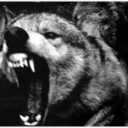 corruptedpixels-blog avatar