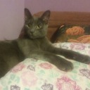 corsetsandclockwork avatar