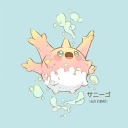 corsola-z avatar