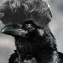 corvid-elvis avatar