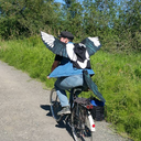 corvid-explorer avatar