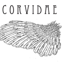 corvidaegoods avatar