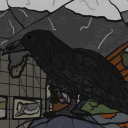 corvidist avatar