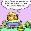 corvids-are-sick avatar