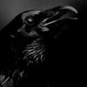 corvidvespers avatar