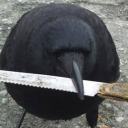 corvocarioca28 avatar