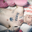 corza9898-blog avatar