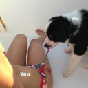 cosaskmehacenzayummm avatar