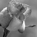 cosasquemegustansblog-blog avatar