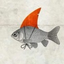 cosechadehuellas avatar