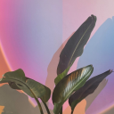 cositabonitabienhecha avatar