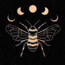 cosmic-honeybee avatar