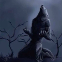 cosmic-intrigue avatar