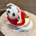 cosmic-monkey708 avatar