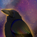 cosmic-raven avatar