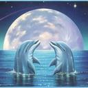 cosmic-space-dolphin avatar