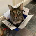 cosmic-thrill-seeker avatar