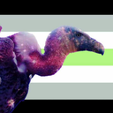 cosmic-vulture avatar