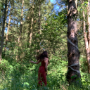 cosmicadventurethruinnerspace avatar